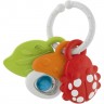 Игрушка-погремушка CHICCO "Nature Friends", Разноцветный 00009709000000